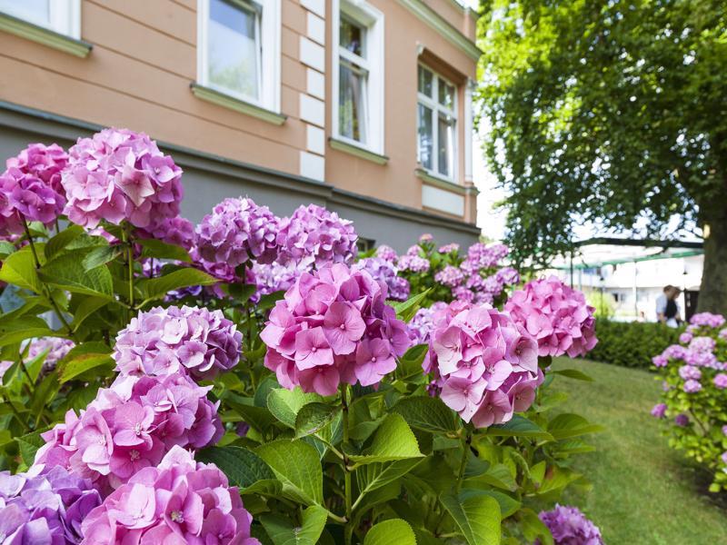 Ostseehotel Villen Im Park - Ein Rovell Hotel Heringsdorf  Exterior photo